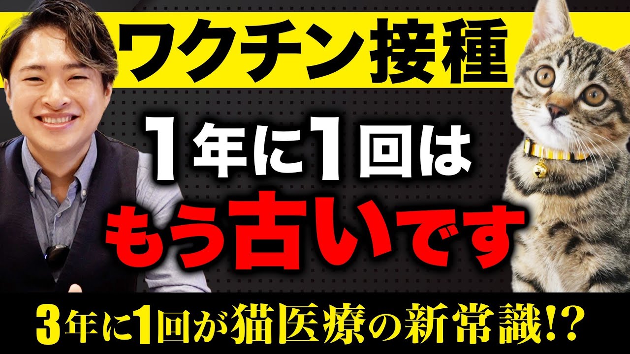 【ワクチンの新常識】猫のワクチン頻度が「3年に１回」になったのですが…