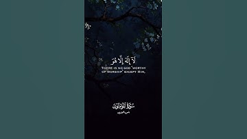 سورة المؤمنون - أنس العمادي #quran #سورة_المؤمنون #انس_العمادي #fyp #تلاوة_خاشعة