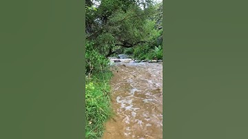 إذا جاء نصر الله والفتح #سورة #النصر #سورة_النصر #سورةالنصر #surah #annasr #قرآن #quran