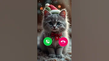 Cat Baby Ringtone Smartphone Music Ringtones Song Krishnabhai28 Krishna Bahai 18 