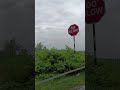jeewan k din chhote sahi #rainy weather #naturelovers #shortsfeed #viralshort