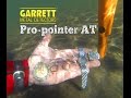 Garrett Pro-Pointer AT | Primera prueba | Bajo el agua y en tierra | Detectores Chile