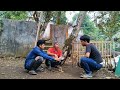 Emang kalo ayam anakan menangan pasti anak nya juga menangan . #fypvidio #hobiayam #jangkauanluas