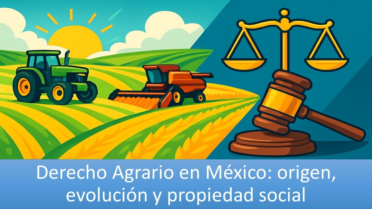 ¿Qué es el Derecho Agrario Mexicano? Historia, ejidos y formas de propiedad explicadas Docabahh
