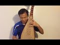 Music teacher playing Pipa. 琵琶一曲珊瑚颂,果然唤来花常开