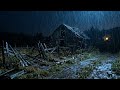 30 MINUTES Gentle Rain at Night, Rain Sounds for Sleep, Insomnia, Relaxing, Meditation, Yoga, Study