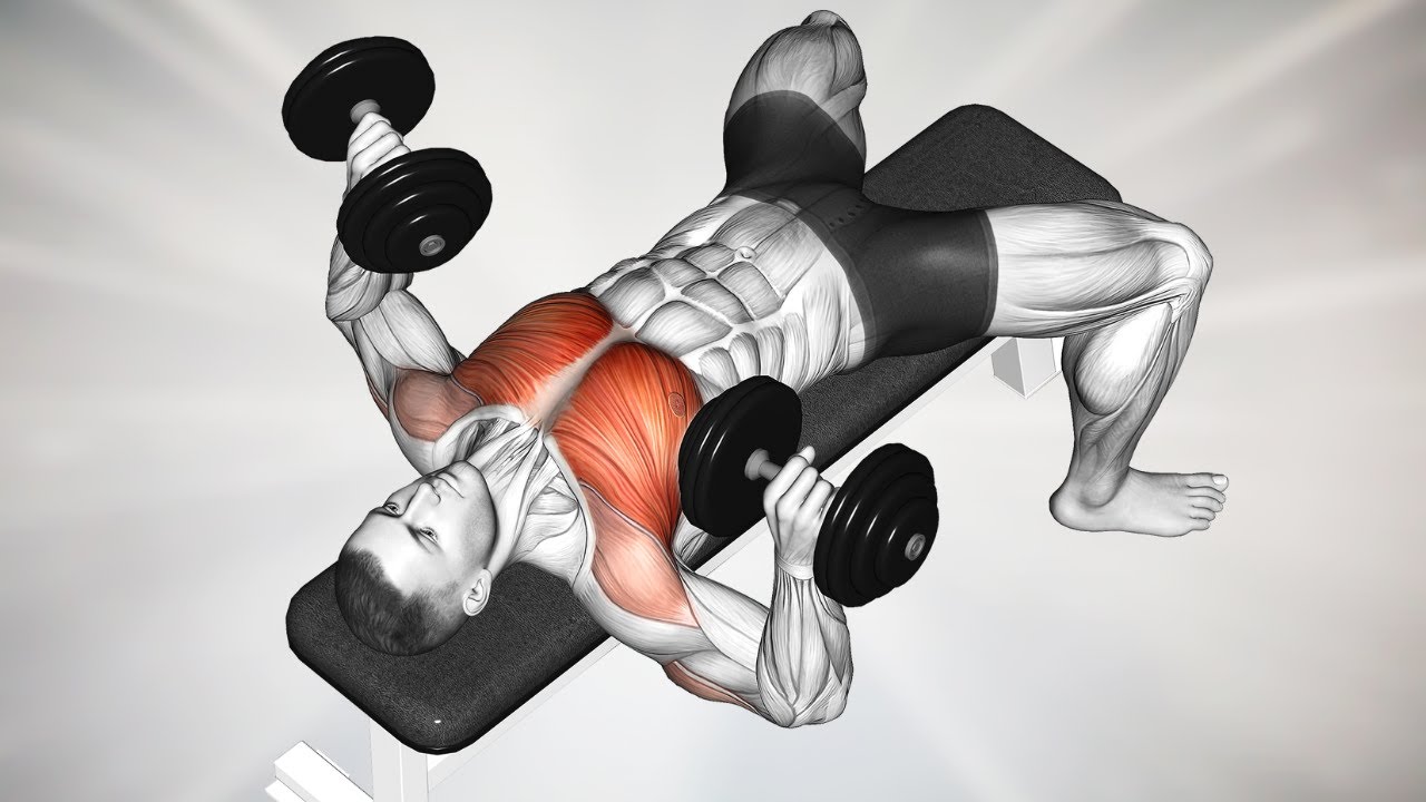 How To Get A Massive Chest in 30 Days The Best Home Chest Workout for