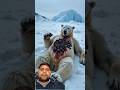 क्या इस भालू की जान बच पाएगी लास्ट तक देखें #ai #polarbear #animals #aimodels #shorts #viralvideo