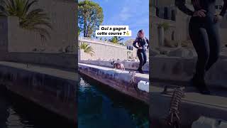 Qui a gagné la course foil vs chien ? #dockstart #pumpfoil #foiling #foil