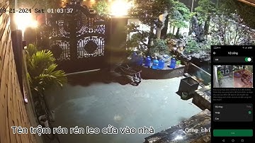 Ai Camera Hub Lumi thực tế