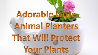 Adorable Little Animal Planters That Will Protect Your Plants