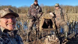 Flocks of Greenwings in Flooded Corn! Oh, What a Day! Golden Boy Duck Hunt #5 2023