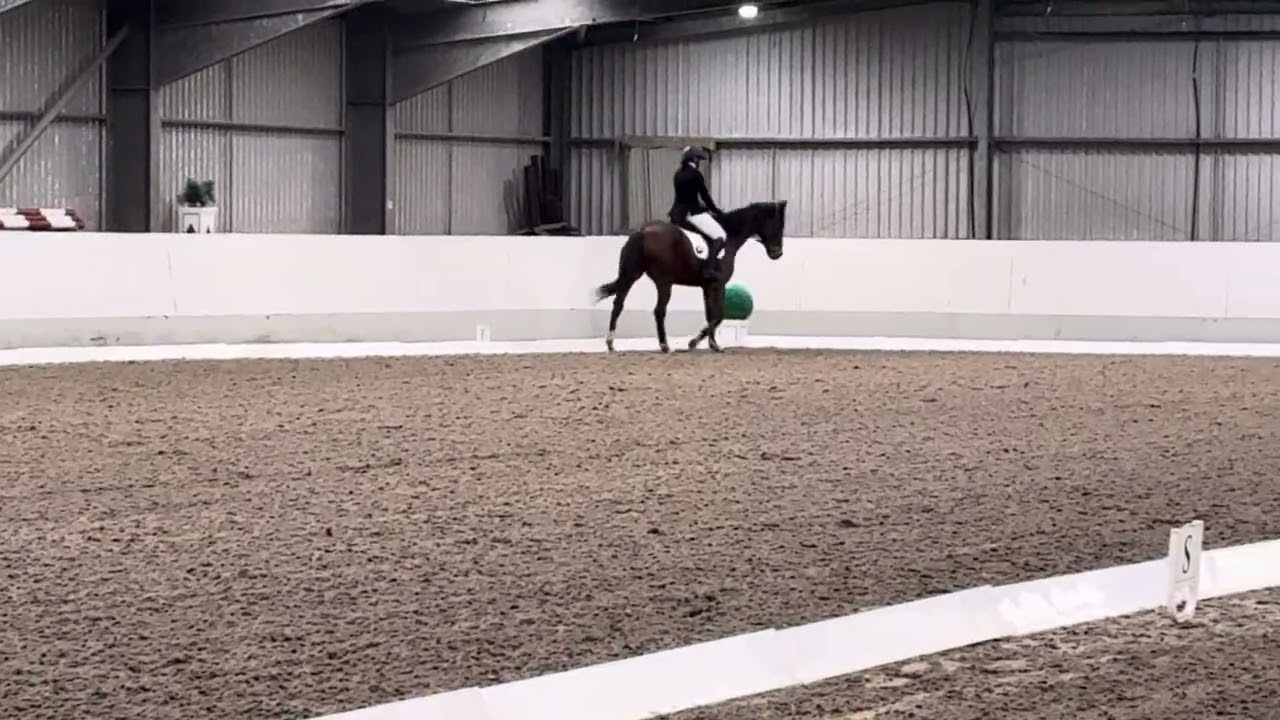 Coalbrook Bridge - Prelim Bronze Freestyle - 67.5% - 2nd Place 