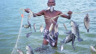 POOL FISH HUNTING | குளத்தில் பிடித்த முரட்டு மீன்கள்| CATCHING AND COOKING POND FISH | Traditional