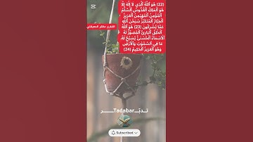 آيات من سورة الحشر | القارئ ماهر المعيقلي #القرآن_الكريم #قرآن #ماهر_المعيقلي #اكسبلور #لايك #duet .
