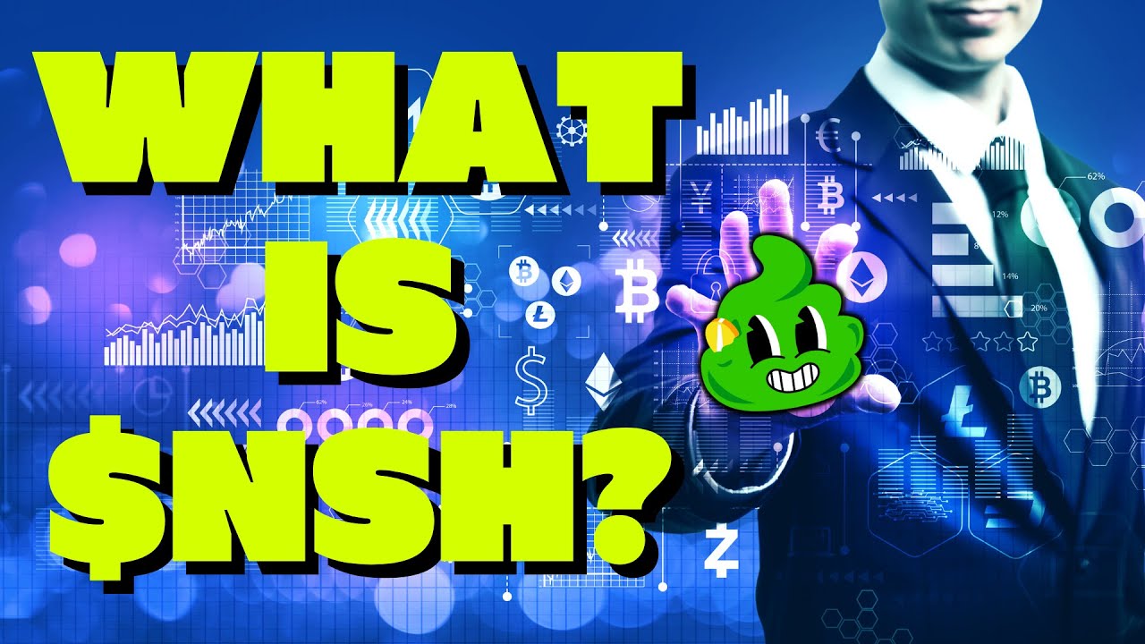 What Is Project NSH?? $NSH #NoShitCoin #Altcoin #NewCrypto - YouTube