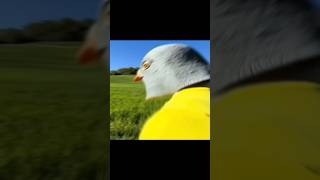 Richarlison🇵🇹#football #viral_video #shorts #fut_championstt #futchampionstt