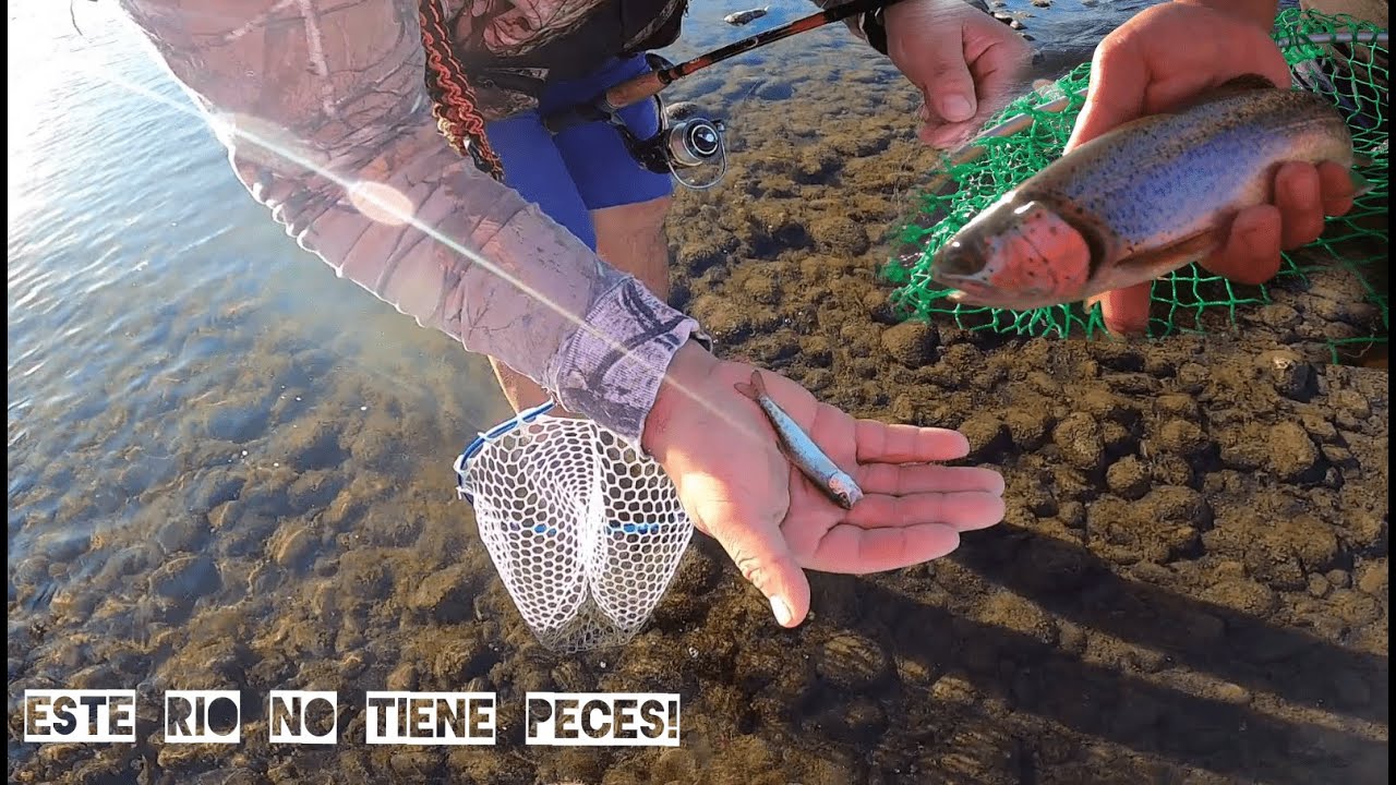INTENTAMOS PESCAR EN ESTE RIO MUERTO EP:1!