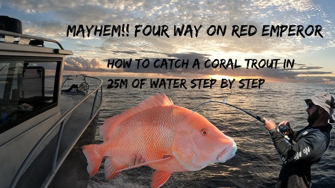 Moreton Bay Snapper & Jewfish - BAIT, TACKLE AND TECHNIQUES 