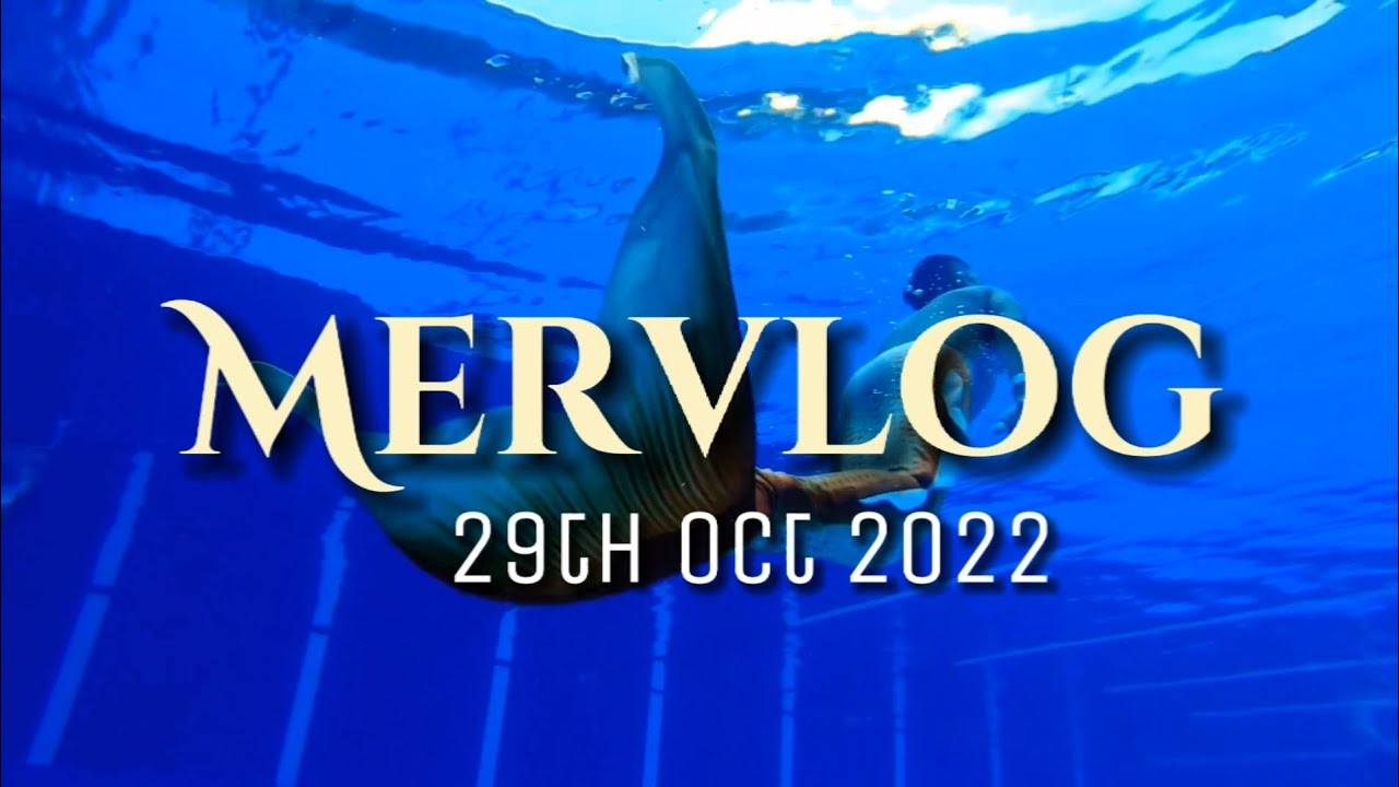 How Many Days Since October 29th 2022 How Many Days Since October 29th 2022