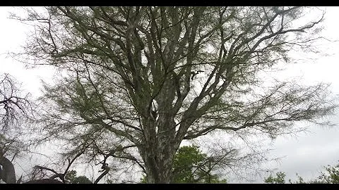 Khaabon Ke Parinday |Zindagi Na Milegi Dobara |Hrithik Roshan, Kartina Kaif| Movement by Ginni Batra