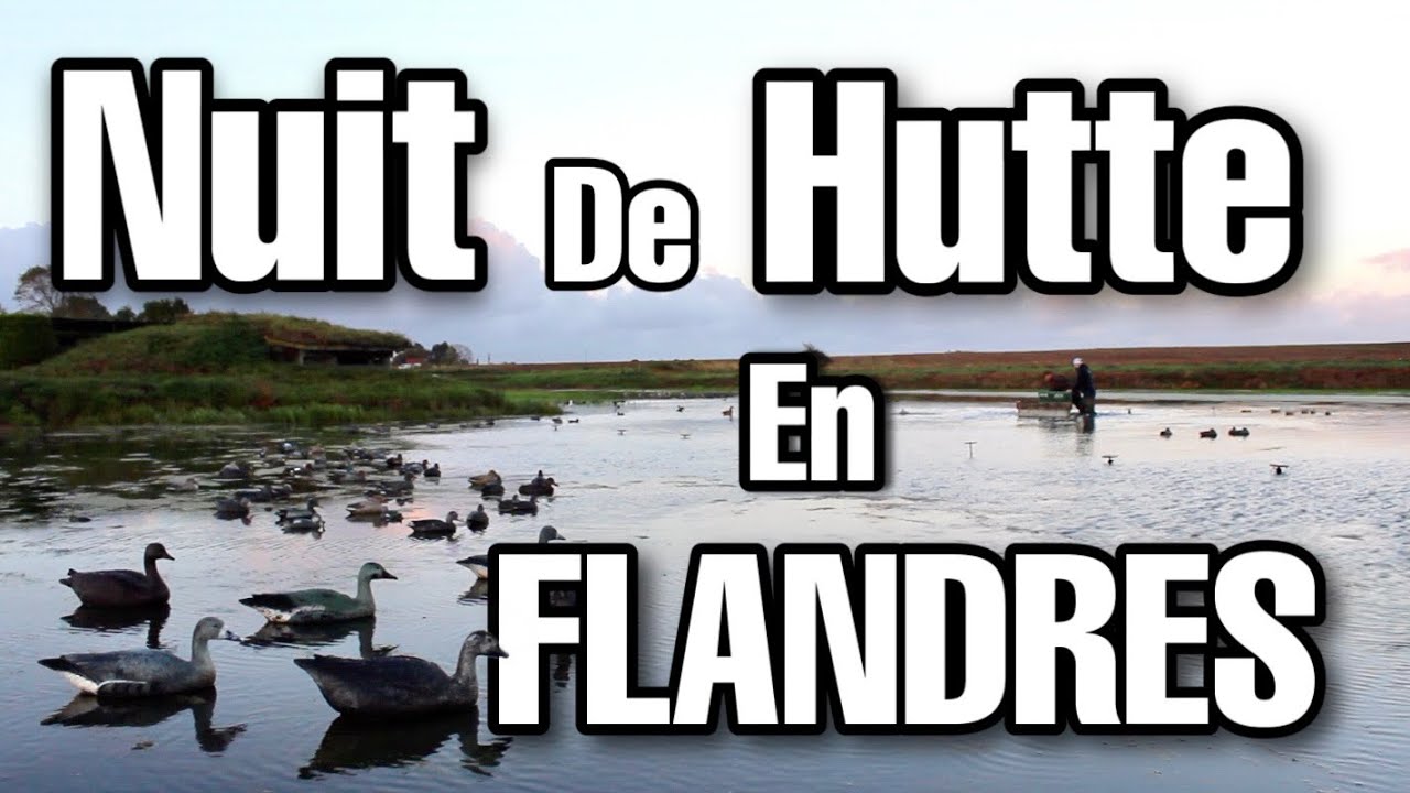 Pourquoi Tu Clash Fils De Hutte Nuit de hutte dans les flandres - Romain Chasse Passion - YouTube