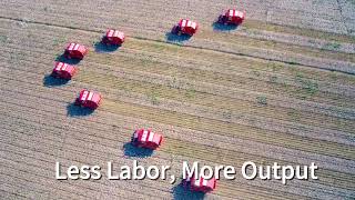 🌿 What Large-Scale Cotton Harvesting Looks Like？