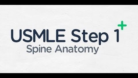 USMLE Step 1: Basic Anatomy of the Spinal Cord