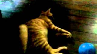Video from My Phone