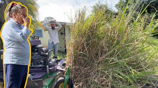 NEIGHBORS couldn't believe I did this MASSIVE transformation for FREE! [ITS BIGGER THAN TALL GRASS]