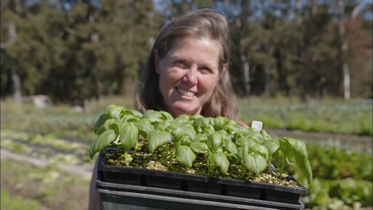 Hasting Farm Gate Tour 2022 YouTube