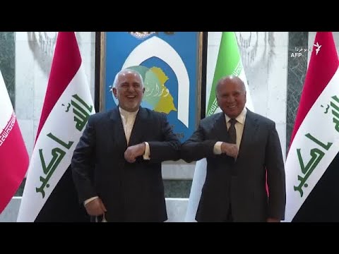 واکنش ها به اظهارات ظریف