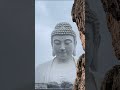 见佛就是缘分,渡世间万千烦恼