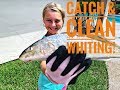 Catch &amp; Clean Whiting!