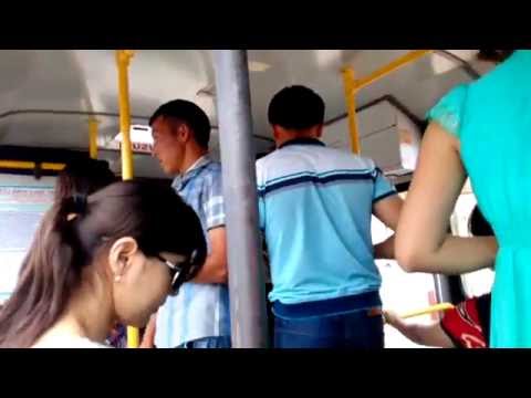 Video: Oltin Doira Bo'ylab Avtobusda Sayohat Qilish