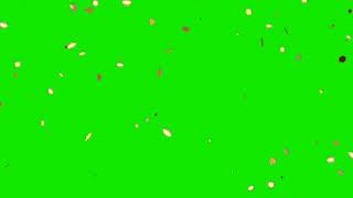 Party Overlay Special Effects Confetti Animated Cartoon Motion Graphics Green Screen Video