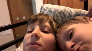 Bad News Blue Jay 5678