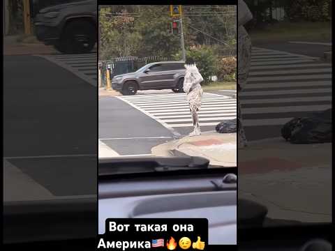 Вот такая она Америка🇺🇸совсем разная, и с разными гражданами в ней самой😂👍Продолжение следует🎬