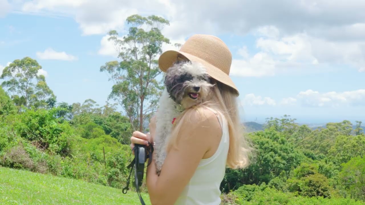 425 Mount Nimmel Road, Austinville