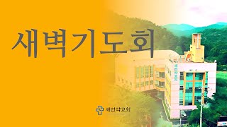 2025 0221 [새벽기도회] “경건의 척도” (눅 5:27~39) 조재필 녹사