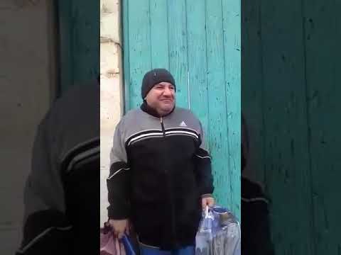 Video: Венадагы бадам ат такалары