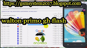 walton primo gh flash