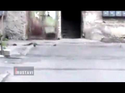 ვირთხები სადარბაზოში