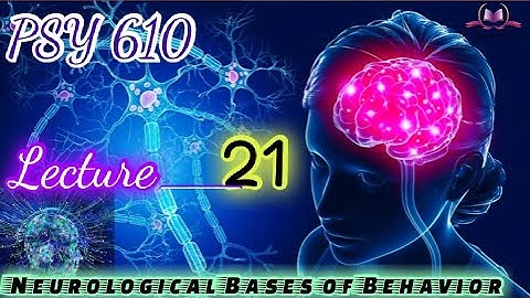 PSY610 || Lecture 21 || Neurological Bases of Behavior || Short Lecture || VU Lectures