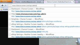 Wordpress Login and Logout