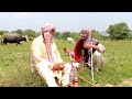 Dada Shero Dadi Bakhto Funny Drama Mega Ep1 Pothwari Super Comedy Drama Pothwar Gold 