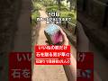 石をこの動画のいいね!の数だけ蹴ってみた。3日目#石蹴男