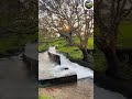 Hidden Jungle Waterfall in Sri Lanka 🌿💧 | Nature Paradise
