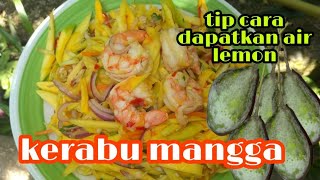 resepi kerabu mangga yg mudah by Kak nur