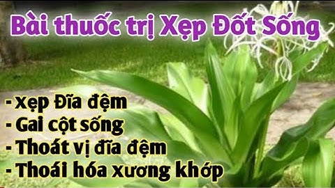 Bài thuốc trị xẹp đốt sống, xẹp đĩa đệm, thoái hóa cột sống, gai cột sống, tvđđ. PHAN HẢI Channel